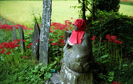 Image0139 （RICOH HI-COLOR 35S）