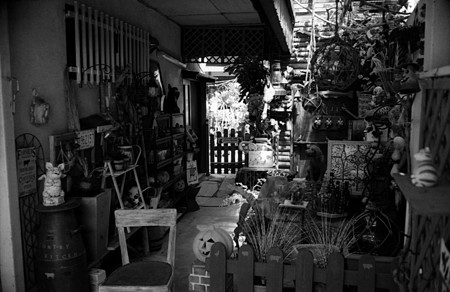 Image0064BW（Canon IV Sb）