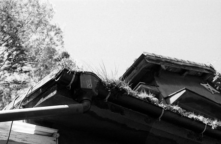 Image0080BW（Canon VT）