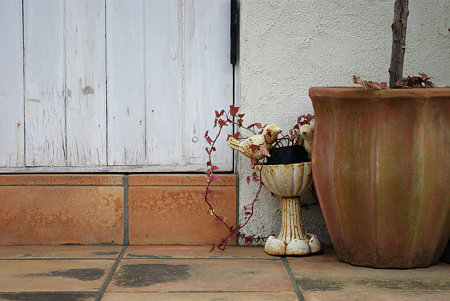 IMGP0805