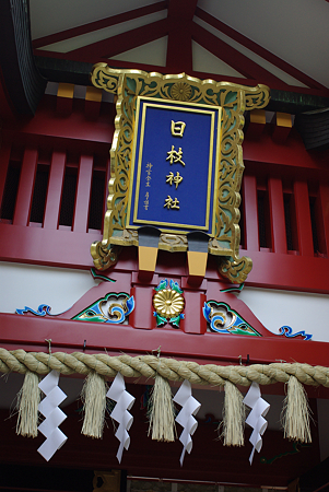 IMGP3254