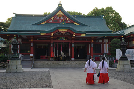 IMGP3209