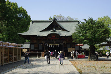 IMGP3774