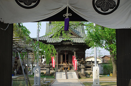 IMGP3982