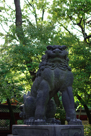 IMGP5011