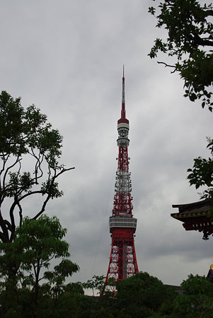 IMGP5355