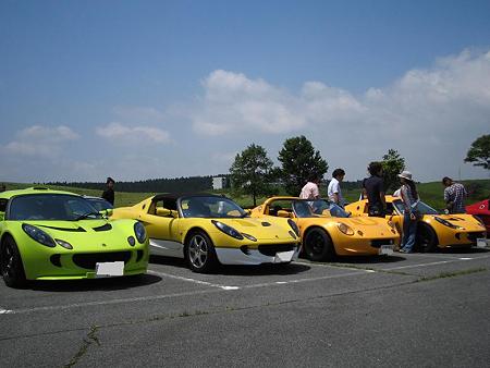 22. ELISE 2(Y)