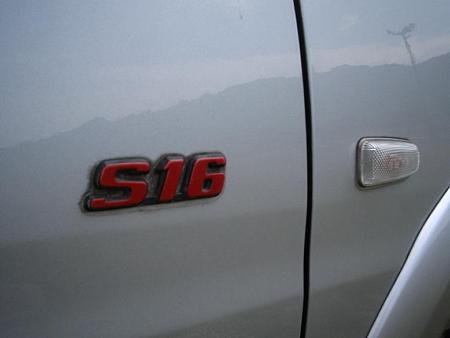 31. S16 ornament