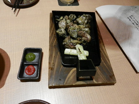 DSCN2216