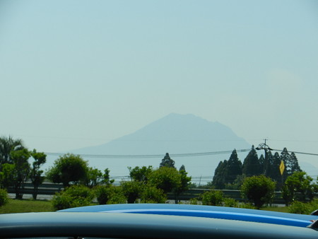 DSCN2220