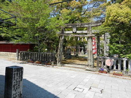 DSCN2117