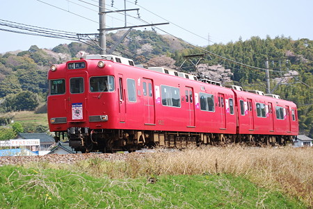 桜まつり　　桜号