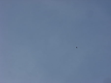 DSCF8717