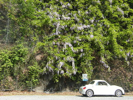 DSCF8878