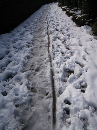 東京大雪07