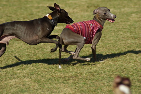 1024-IMGP5900