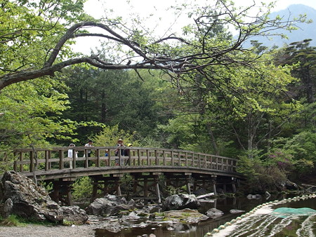 P6020287