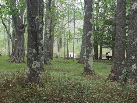 P6020326