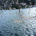 Photos: 伊自良湖１