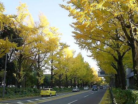 081128-山下公園通り (27)