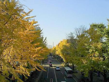 081128-山下公園通り (24)