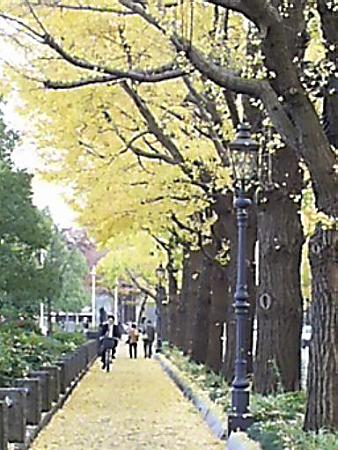 081128-山下公園通り (9)