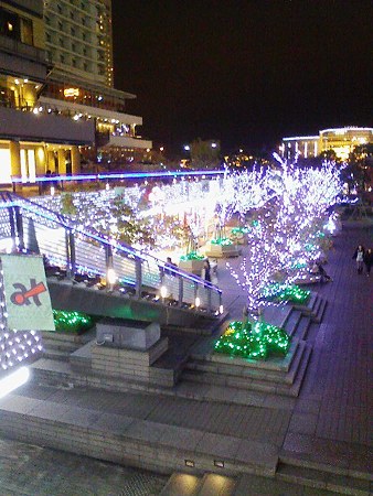 081201-クリスマスイルミネーション (23)