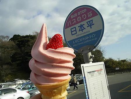 20090104-デザート (1)