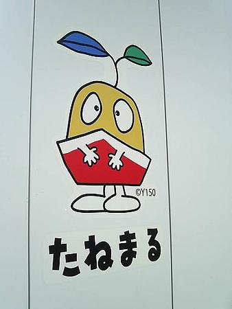 090201-たねまる いろいろ