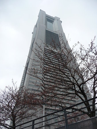 090401-MM21の桜