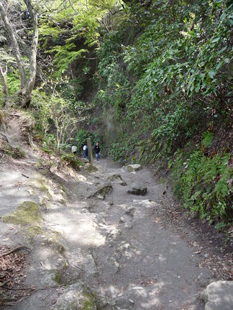 090403-源氏山と化粧坂 (5)