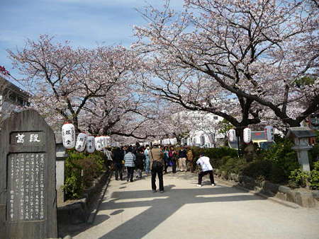 090403-段葛 (3)