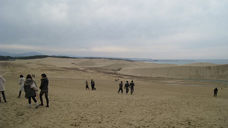 tottorisakyuu