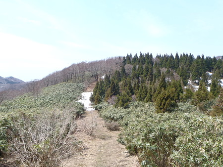 2014041915