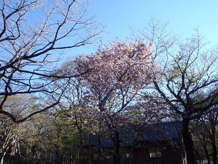 14050342