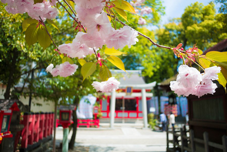 八坂神社（美御前社）
