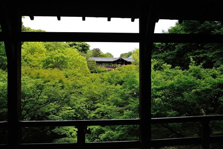 東福寺　臥雲橋