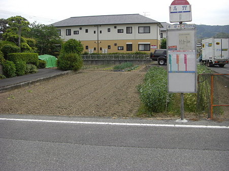 田んぼだったときはカブトエビうじゃうじゃ
