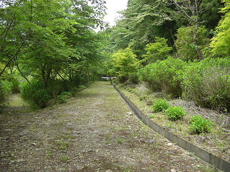きれいに草刈