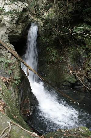 DSC00030