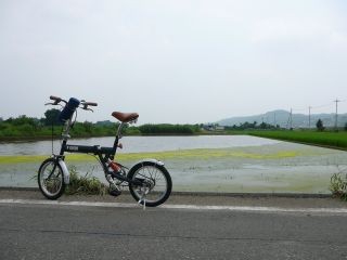 愛車
