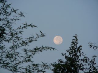月