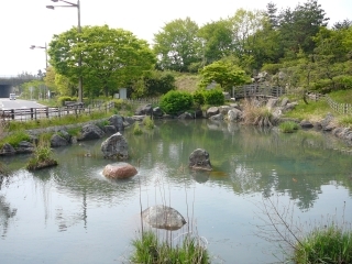 池