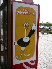 販売機