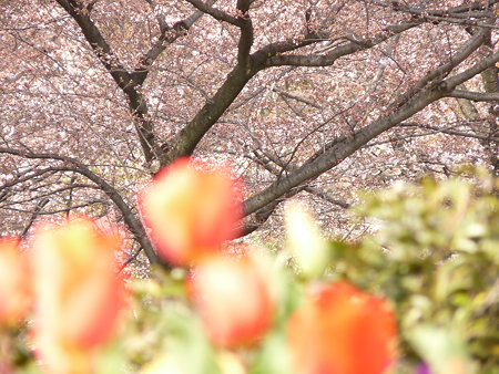 2009_0329_143339-P1020123