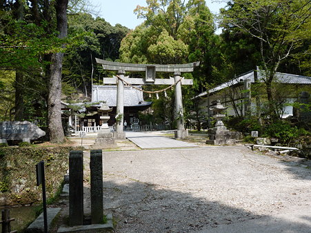 2009_0416_104154-P1020322
