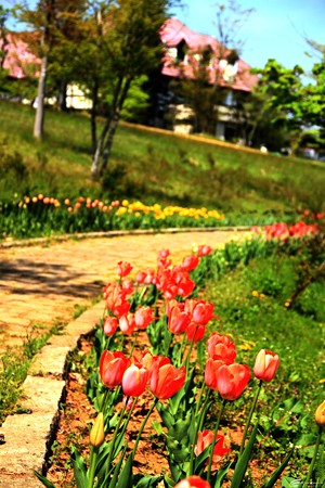 Blog_20140505_016