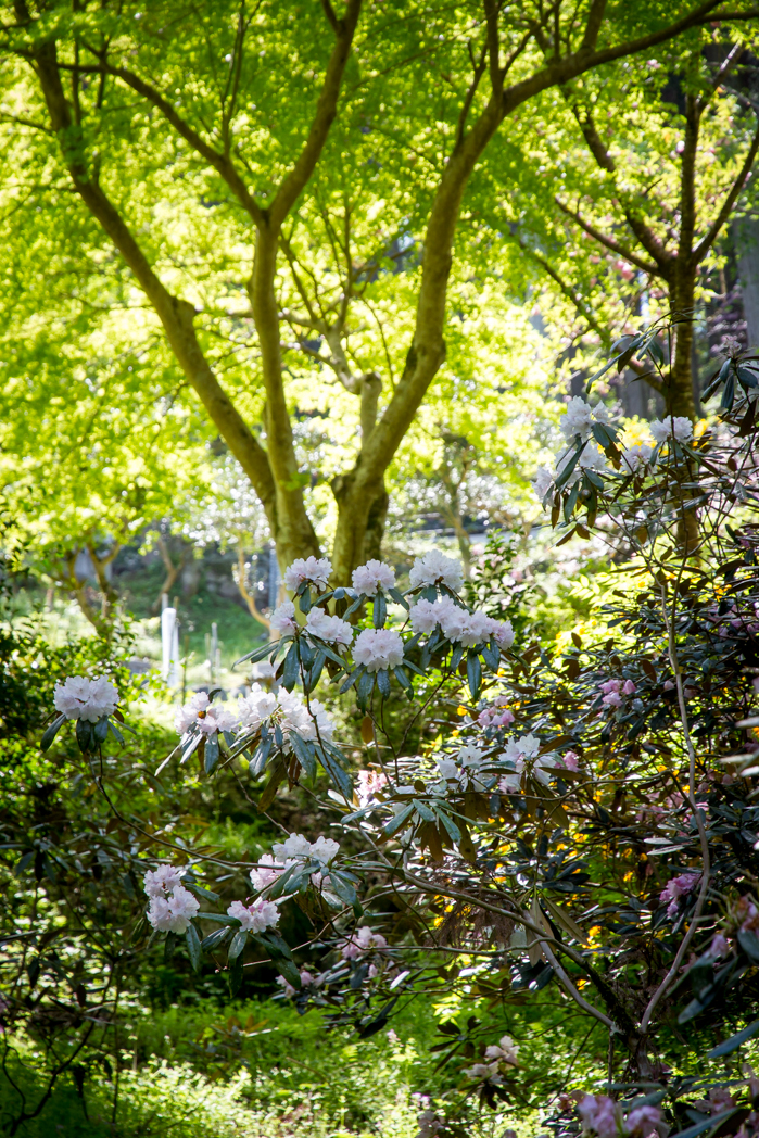 写真: IMG_3231