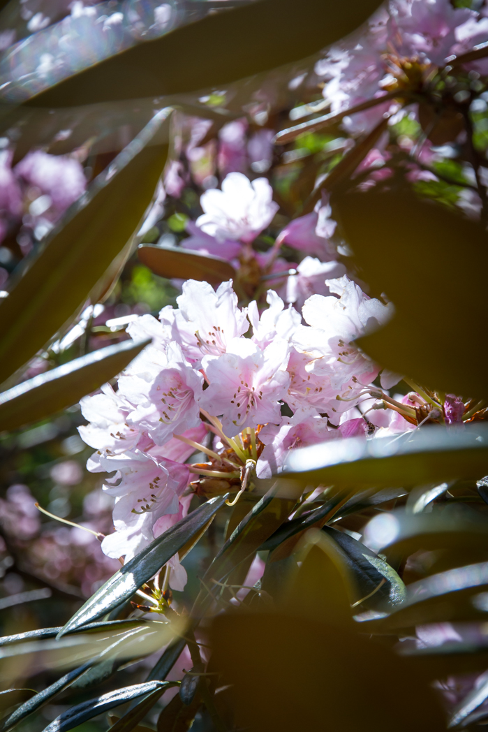 写真: IMG_3320