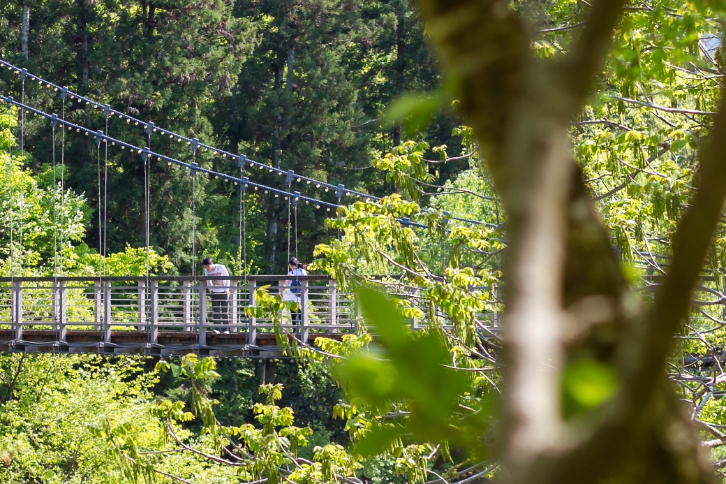 写真: IMG_3661